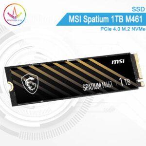 PC Gamer Bali 1 - SSD MSI Spatium 1TB M461 PCIe 4.0 M.2 NVMe