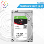 PC Gamer Bali - Hardisk Seagate Ironwolf For NAS 3.5 Inch SATA