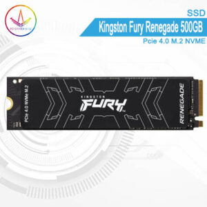 PC Gamer Bali - SSD Kingston Fury Renegade 500GB Pcie 4.0 M.2 NVME